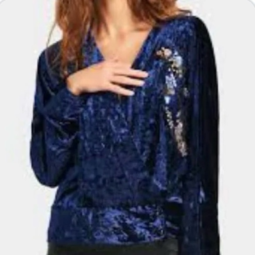 ZARA Woman Blue Velvet Kimono Sequin Bird Top Women's Size Small